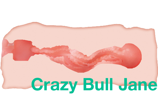 Купить мастурбатор-вагина Crazy Bull Jane