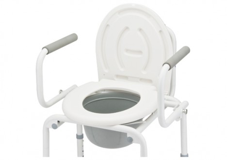 Кресло-туалет FS813